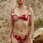 Panty Terral